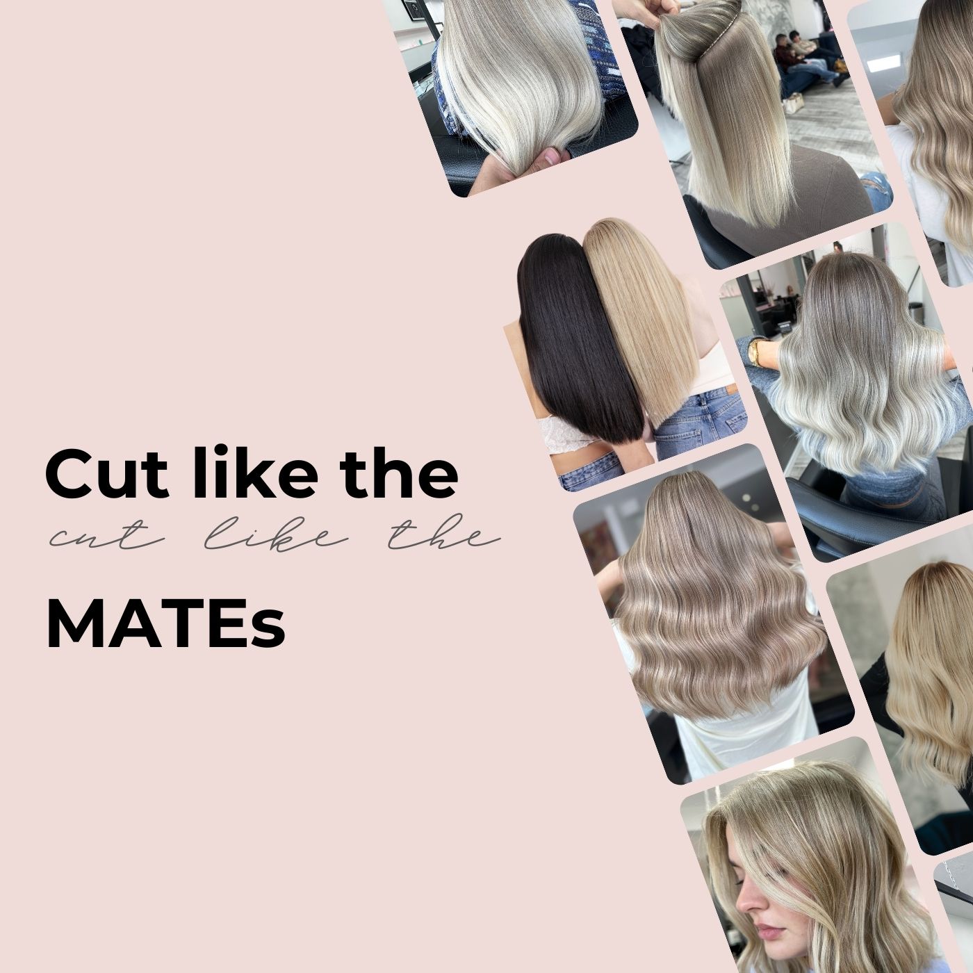 Gloss & Shade AND Cut like the MATEs